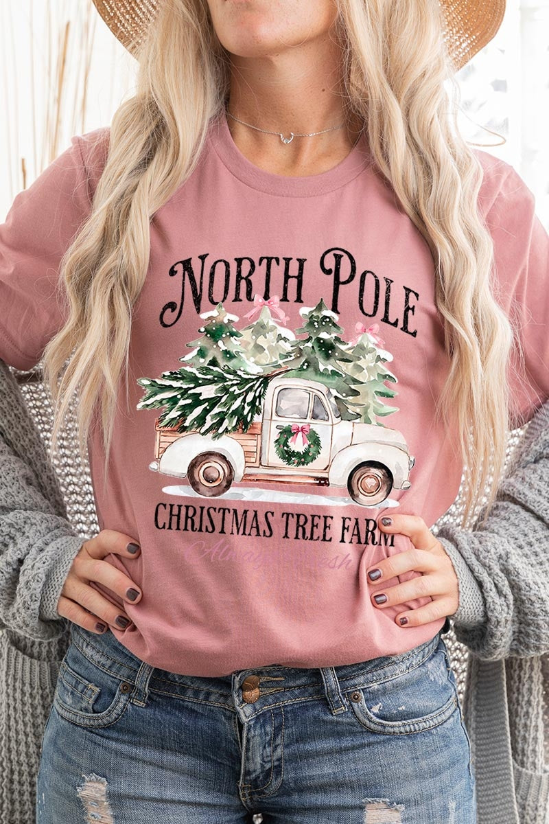 US3001-E3174 North Pole Christmas Graphic Tee $12.5