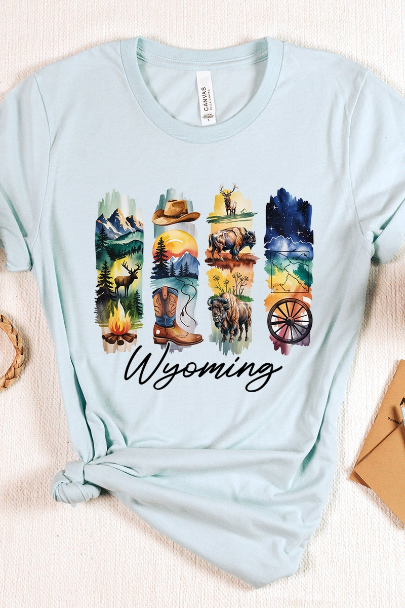 US3001P-E3061WY Wyoming State Brushstroke Graphic Plus Tee $16