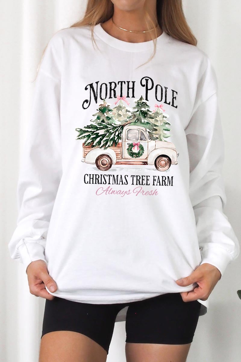 UL240P-E3174 North Pole Christmas Graphic Plus Long Sleeve Tee $17