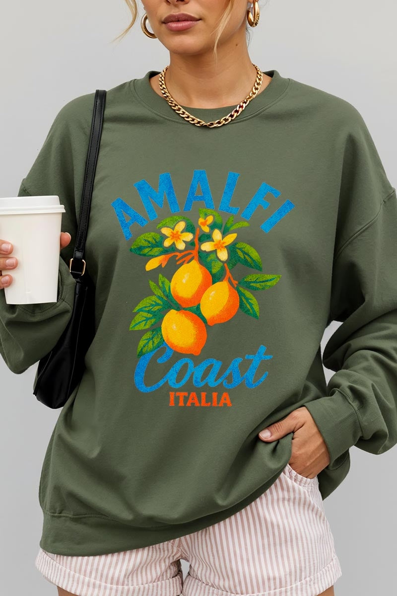 UL180-E3470 America 250 Gingham Graphic Sweatshirt $20