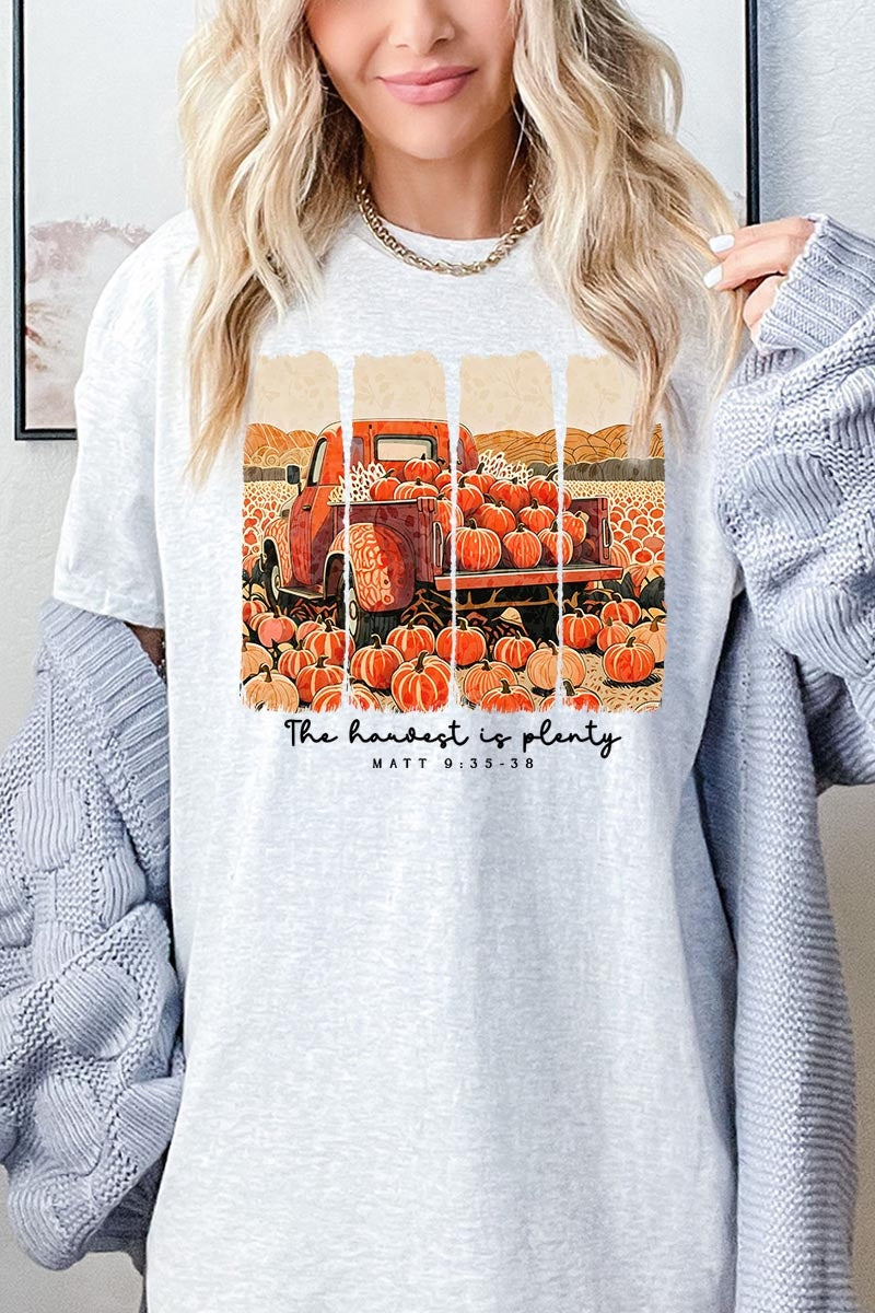 5000-E3172 Harvest Is Plenty Graphic Heavy Cotton Tee $9