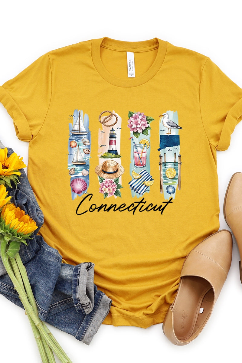 US3001P-E3061CT Connecticut State Brushstroke Graphic Plus Tee $16