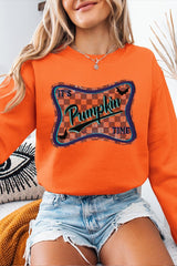 UL180-E3144 Itu2019s pumpkin time Graphic Sweatshirt $20