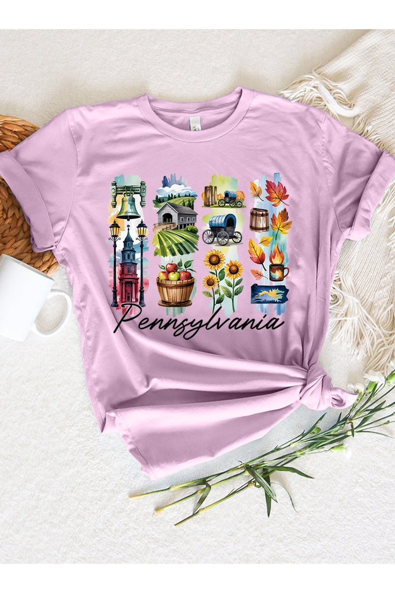 US3001P-E3061PA Pennsylvania State Brushstroke Graphic Plus Tee $16