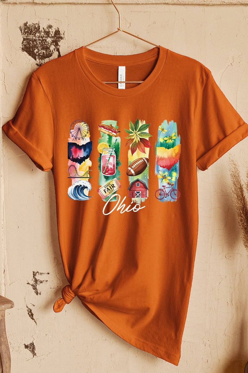 US3001-E3061OH Ohio State Brushstroke Graphic Tee $12.5
