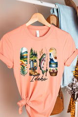US3001P-E3061ID Idaho State Brushstroke Graphic Plus Tee $16