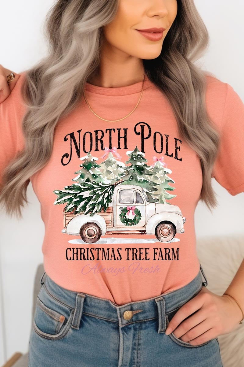 US3001P-E3174 North Pole Christmas Graphic Plus Tee $16