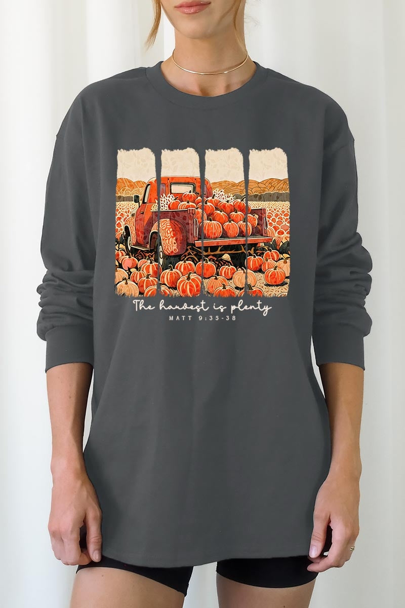 UL240P-E3172 Harvest Is Plenty Graphic Plus Long Sleeve Tee $17