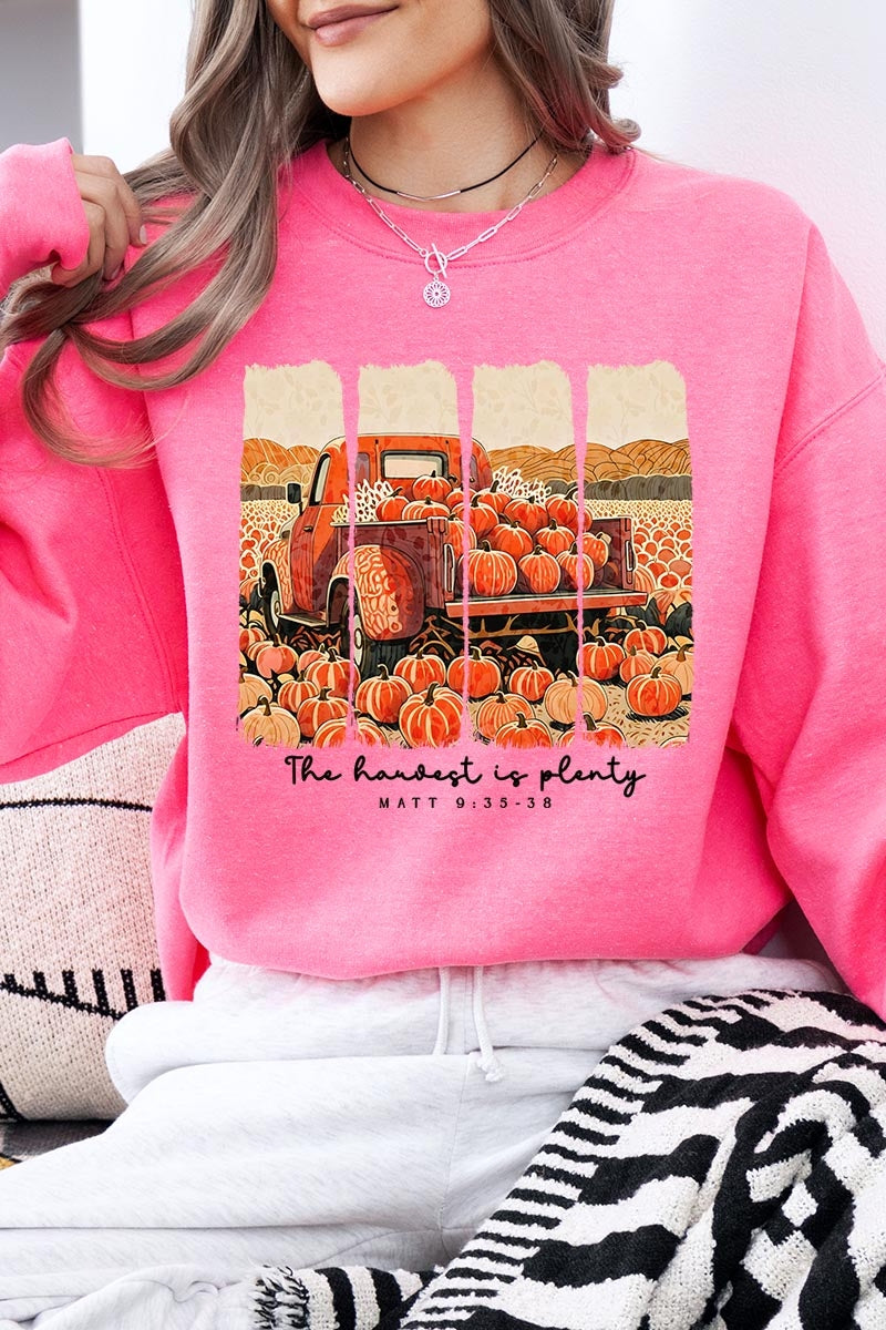UL180P-E3172 Harvest Is Plenty Graphic Plus Sweatshirt $25