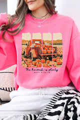 UL180-E3172 Harvest Is Plenty Graphic Sweatshirt $20