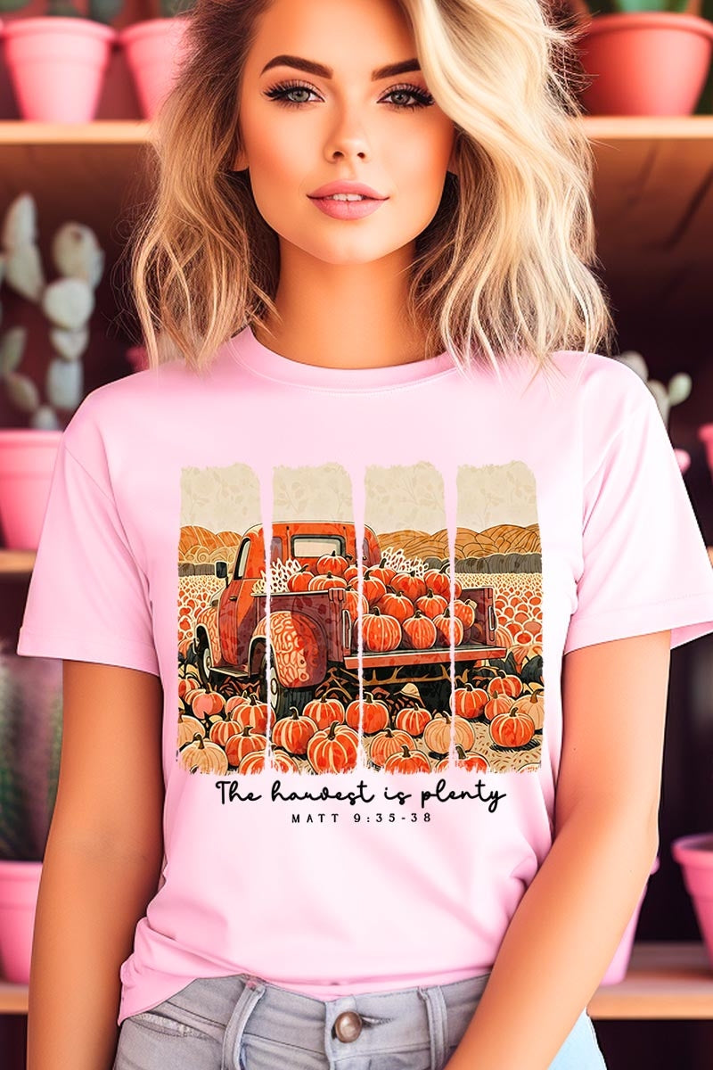 US3001P-E3172 Harvest Is Plenty Graphic Plus Tee $16
