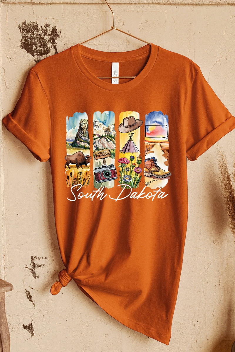 US3001P-E3061SD South Dakota State Brushstroke Graphic Plus Tee $16