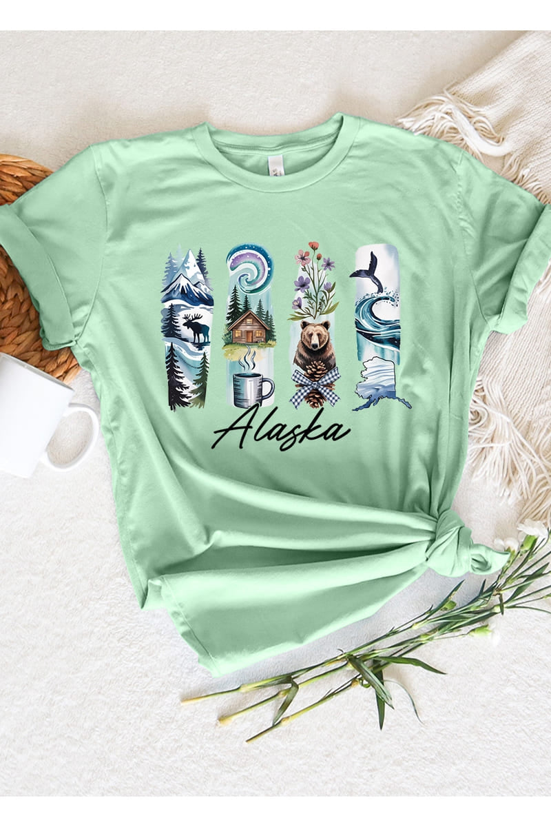 US3001P-E3061AK Alaska State Brushstroke Graphic Plus Tee $16