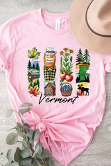 US3001P-E3061VT Vermont State Brushstroke Graphic Plus Tee $16