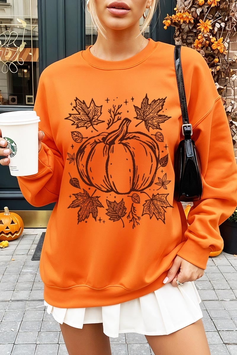 UL180-E3162 Fall Pumpkin Graphic Sweatshirt $20