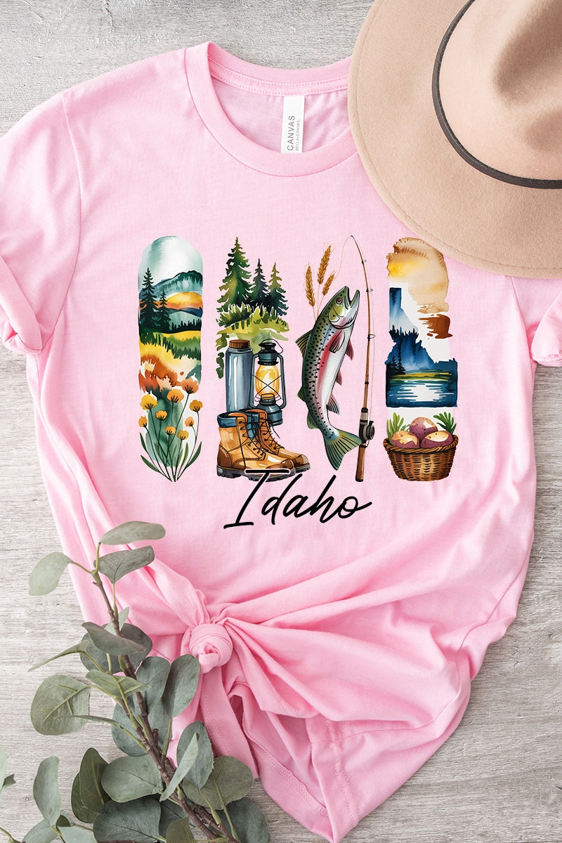 US3001-E3061ID Idaho State Brushstroke Graphic Tee $12.5