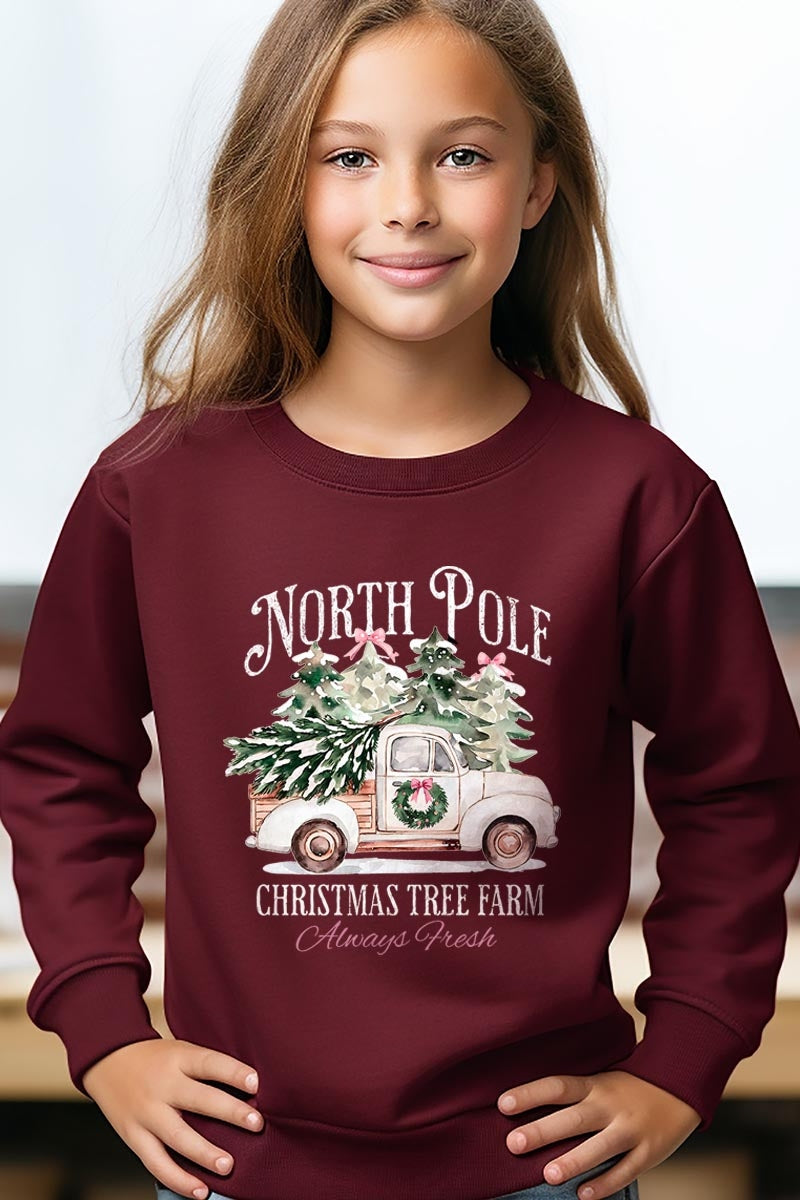 UL180B-E3174Z North Pole Christmas Kids Graphic Sweatshirt $20